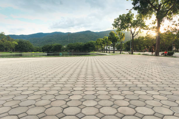 Best Best Driveway Pavers  in , CO