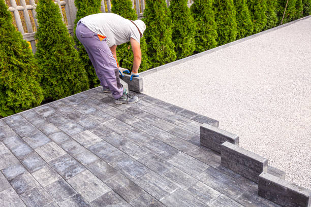 Best Driveway Paving Contractor  in , CO